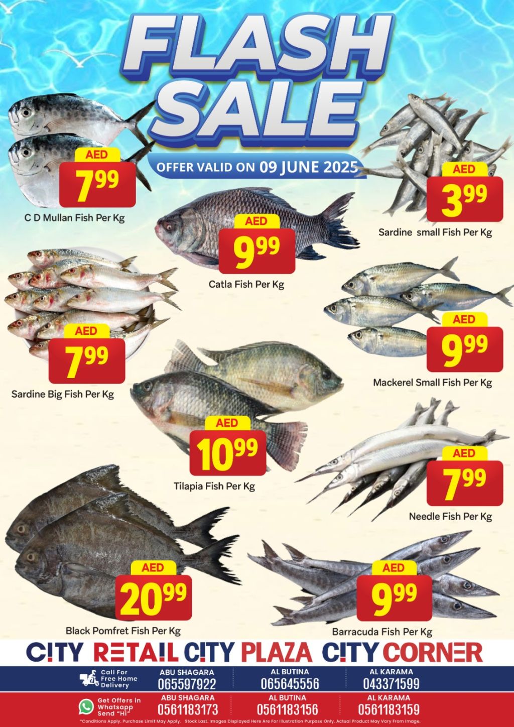 WhatsApp Image 2025-06-09 at 13.02.06_1a30a47e